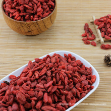 High quality chinese bulk goji berries wholesale goji berry